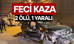 Feci kaza: 2 ölü, 1 yaralı
