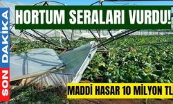 Hortum seraları vurdu: Maddi hasar 10 milyon TL