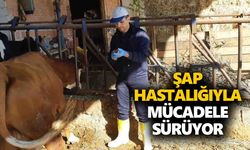 Karacasu'da hummalı çalışma