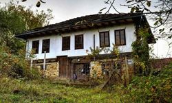 Yenipazar’daki taşınmaz icrada: Kırsal bölgedeki büyük parsel için yeni duyuru