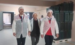 Köşk’te kuru incir, zeytin ve zeytinyağı tesisine ziyaret