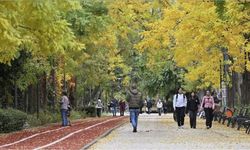 Meteoroloji’den hafta sonu tahmini: Yağışsız, ılık hava