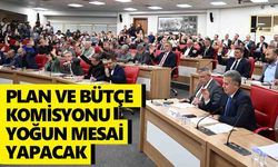 Plan ve Bütçe Komisyonu yoğun mesai yapacak