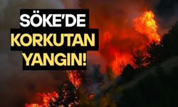 Söke'de korkutan yangın!