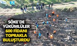 Söke’de yükümlüler 600 fidanı toprakla buluşturdu