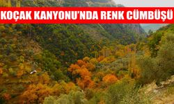 Sonbaharda renk cümbüşü: Koçak Kanyonu büyülüyor