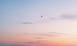 Türkiye’den yeni nesil kamikaze İHA