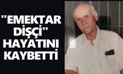 Yenipazar'da asırlık çınara veda