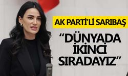 AK Parti’li Sarıbaş’tan ‘coğrafi işaret’ açıklaması