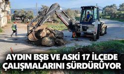 Aydın BŞB ve ASKİ 17 ilçede çalışmalarını sürdürüyor