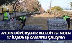 Aydın Büyükşehir Belediyesi’nden 17 ilçede eş zamanlı çalışma