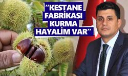 Aydın kestanesine katma değer katacak proje