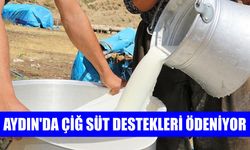 Aydın’da çiğ süt destekleri ödeniyor