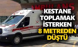 Aydın’da kestane toplamak için ağaca çıkan adam 8 metreden yüksekten düştü