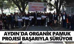 Aydın’da organik pamuk projesi başarıyla sürüyor
