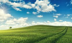 Aydın'da Son Yılların En Büyük Satışı: Mahkeme Bu Rakama Verileceğini Açıkladı