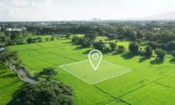 Aydın'da toprak sahibi yapacak haber! Mahkeme kısa süre için duyurdu