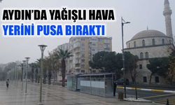 Aydın’da yağışlı hava, yerini pusa bıraktı