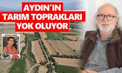 Aydın’ın tarım toprakları yok oluyor