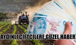 Aydınlı çiftçilere güzel haber