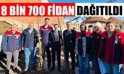 Bozdoğanlı çiftçilere fidan desteği