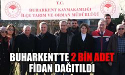 Buharkentli üreticilere fidan desteği