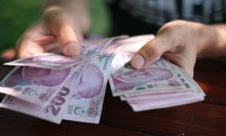 Bunu yapan yandı! Fiyatı 150 bin TL'yi aştı