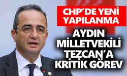CHP’de yeni yapılanma: Aydın Milletvekili Tezcan’a kritik görev