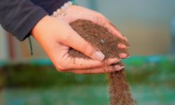 Didim'de pazar atıkları geri dönüştürülerek kompost elde ediliyor