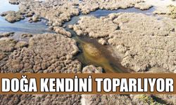 Doğa kendini toparlıyor: Yağışların ardından Bafa Gölü’nde gözle görülür canlanma