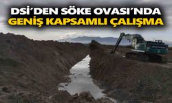 DSİ’den Söke Ovası’nda geniş kapsamlı çalışma