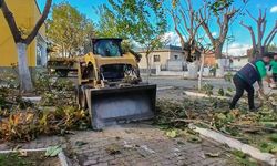 Efeler’de budama çalışmaları hız kesmiyor