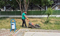 Efeler’de temizlik ve yeşil alan atağı