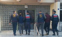 Efeler’de zeytin hırsızlığı: 400 kilo zeytin fabrikaya satılmış