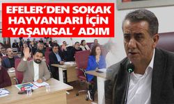 Efeler’den sokak hayvanları için ‘yaşamsal’ adım