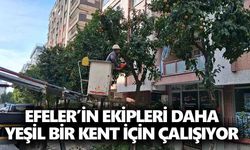 Efeler’in ekipleri daha yeşil bir kent için çalışıyor