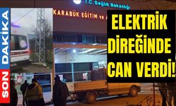 Elektrik direğinde can verdi!