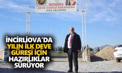 İncirliova’da yılın ilk deve güreşi için hazırlıklar sürüyor