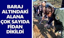 İsabeyli yeşillendi