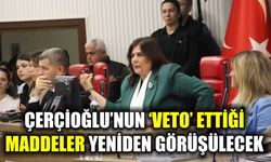 Aydın Büyükşehir Belediye Meclisi toplanıyor