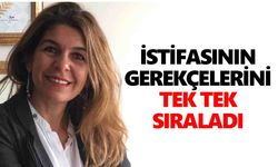 İYİ Parti’den ayrılan Yurtcan’dan ilk açıklama