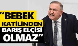 İYİ Parti’li Karakaş, DEM’lilere sert çıktı