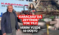 Karacasu’da zeytinde yok yılı! Verim yüzde 50 düştü
