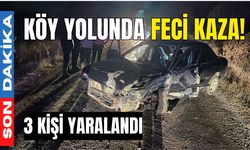 Köy yolunda feci kaza! 3 yaralı