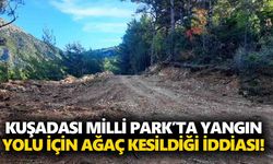 Kuşadası Milli Park’ta yangın yolu için ağaç kesildiği iddiası!