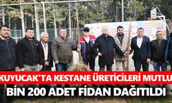 Kuyucak'ta kestane üreticileri mutlu