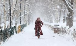 Meteoroloji 21 ile kar alarmı verdi! Pazartesi günü başlıyor