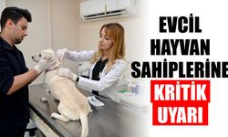 Mikroçip kimliklendirmesinde son tarih yaklaşıyor