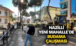 Nazilli Yeni Mahalle’de budama çalışması