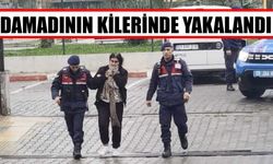 Nazilli'de kaçak operasyonu: Damadının kilerinde yakalandı